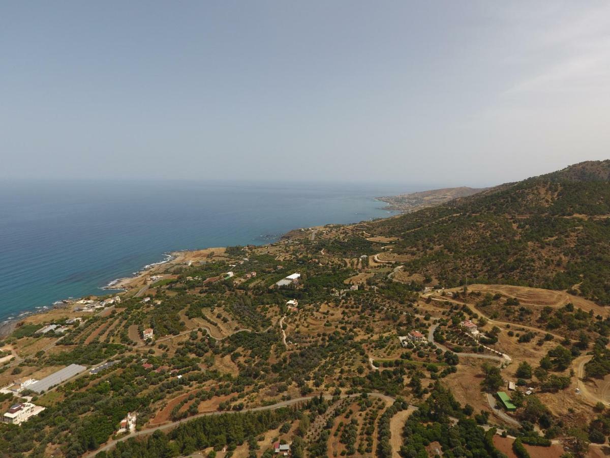 Martika Luxury Villa Agia Marina  Dış mekan fotoğraf