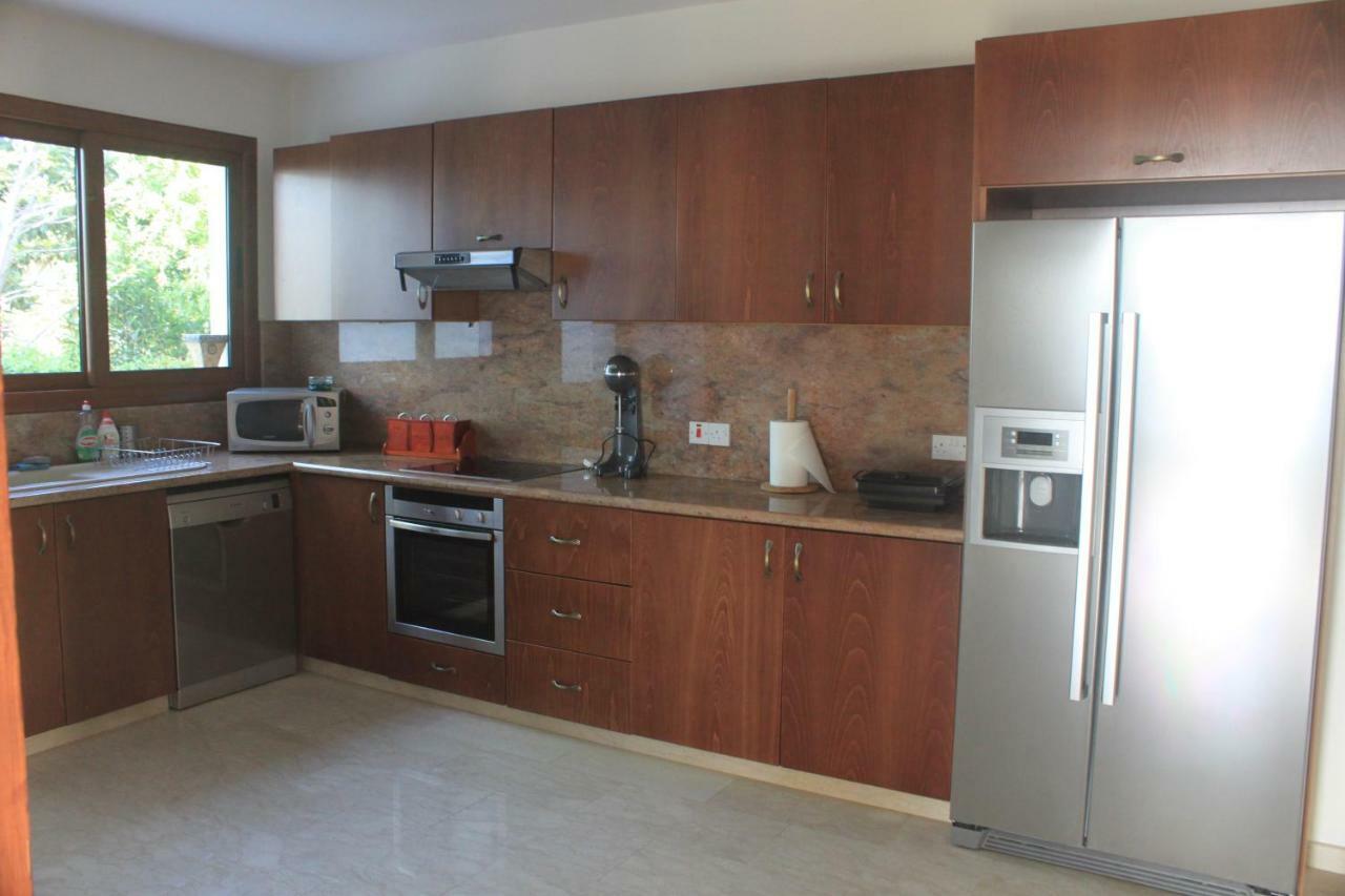 Martika Luxury Villa Agia Marina  Dış mekan fotoğraf